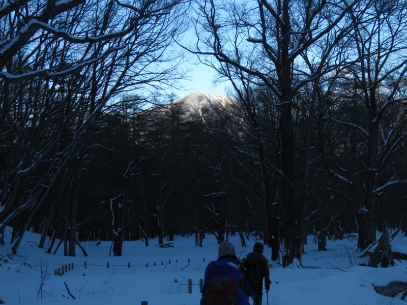 高山