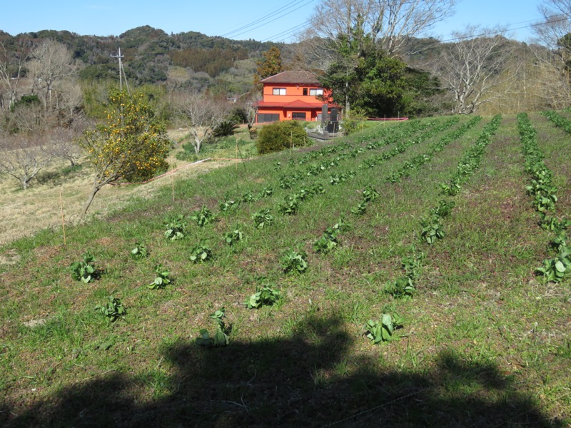 伊予ヶ岳