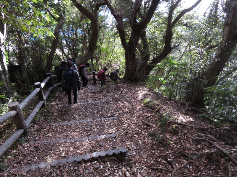 伊予ヶ岳