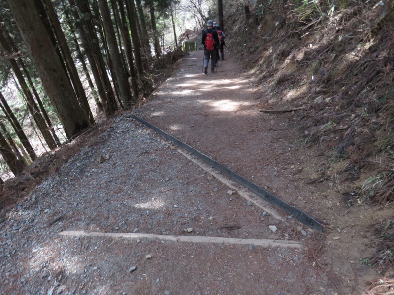 大岳山、馬頭刈尾根