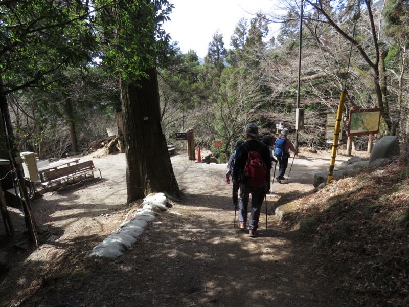 大岳山、馬頭刈尾根