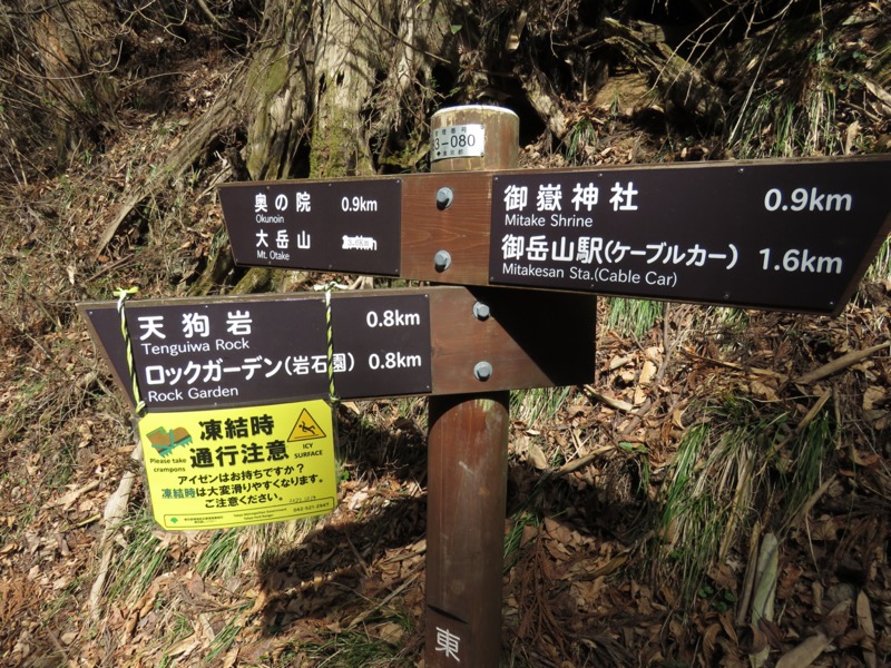 大岳山、馬頭刈尾根