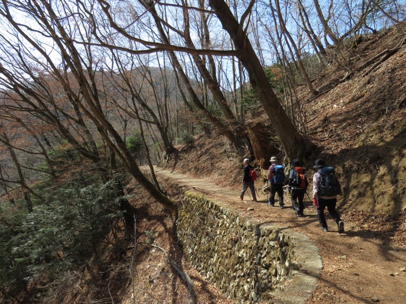 大岳山、馬頭刈尾根