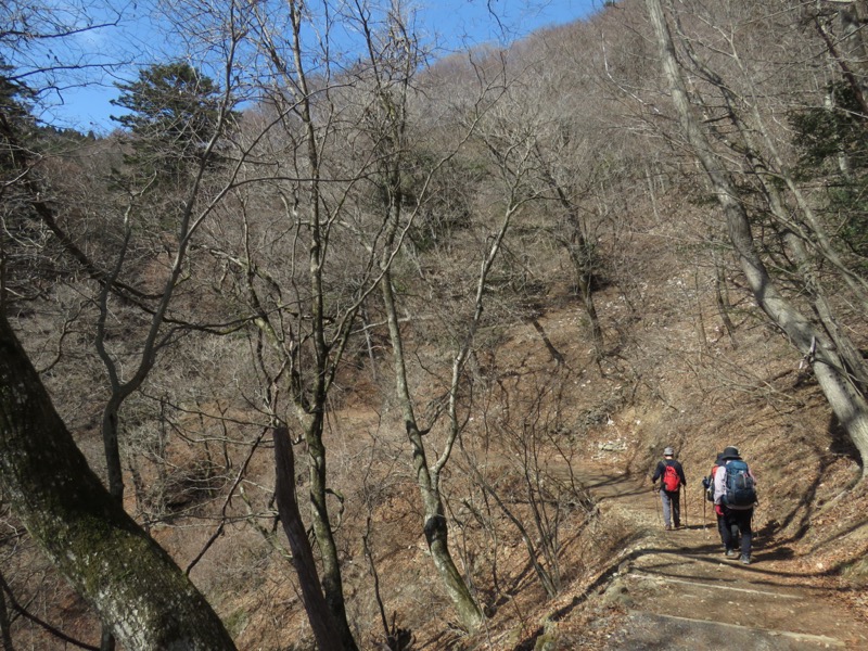 大岳山、馬頭刈尾根