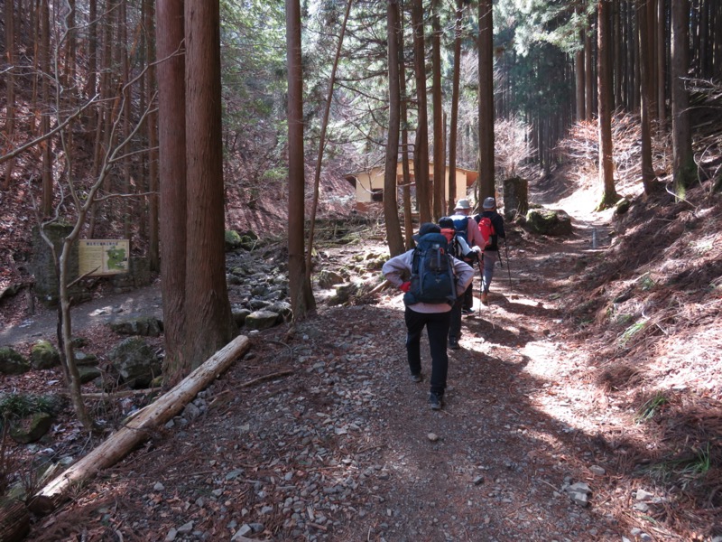 大岳山、馬頭刈尾根