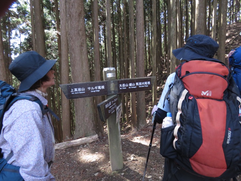 大岳山、馬頭刈尾根