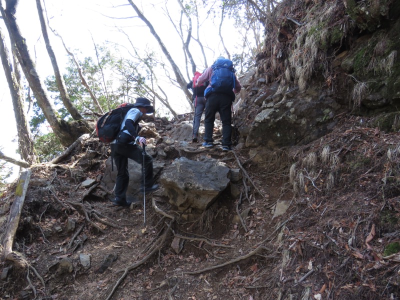 大岳山、馬頭刈尾根