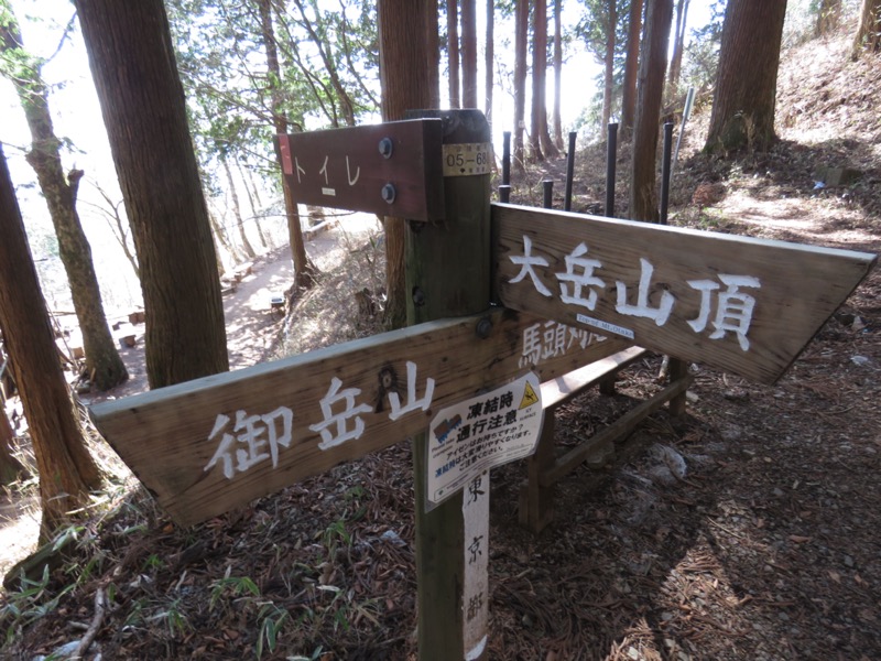 大岳山、馬頭刈尾根