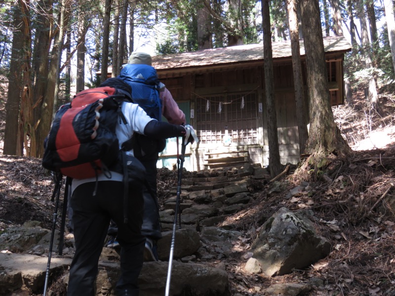 大岳山、馬頭刈尾根