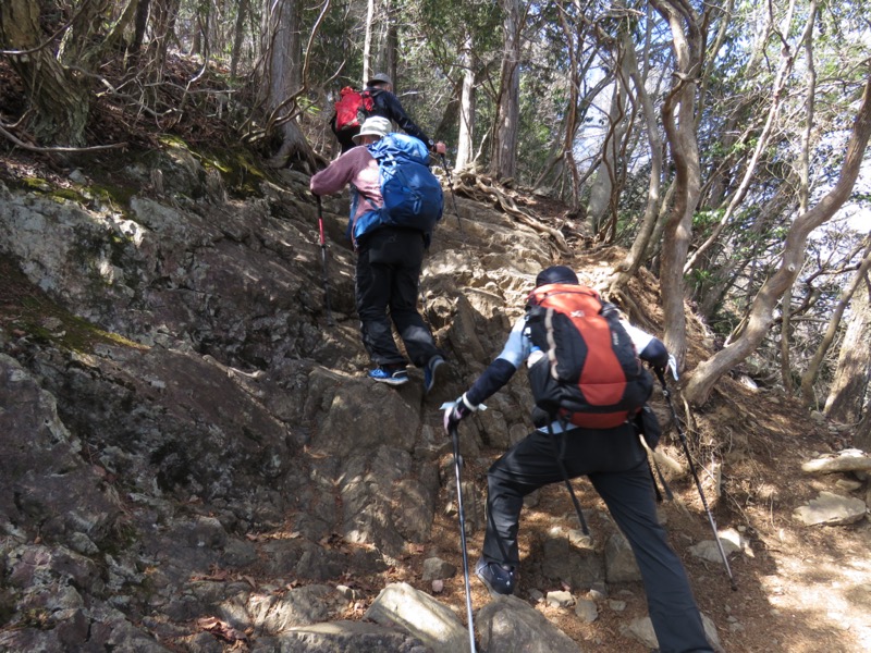 大岳山、馬頭刈尾根