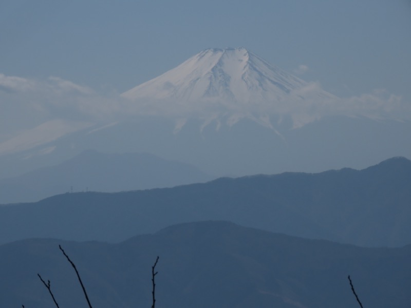 大岳山、馬頭刈尾根