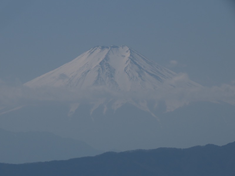 大岳山、馬頭刈尾根