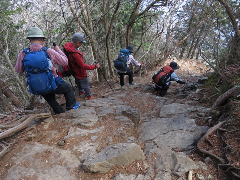 大岳山、馬頭刈尾根