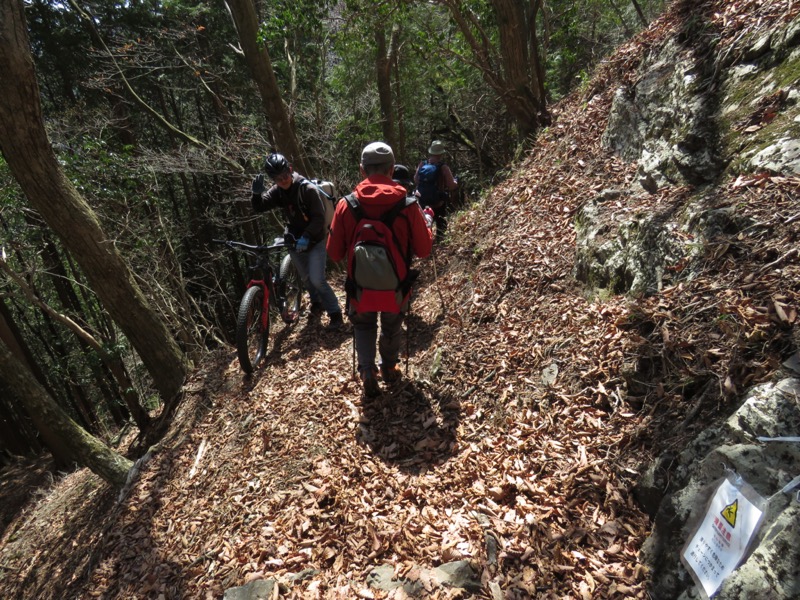 大岳山、馬頭刈尾根