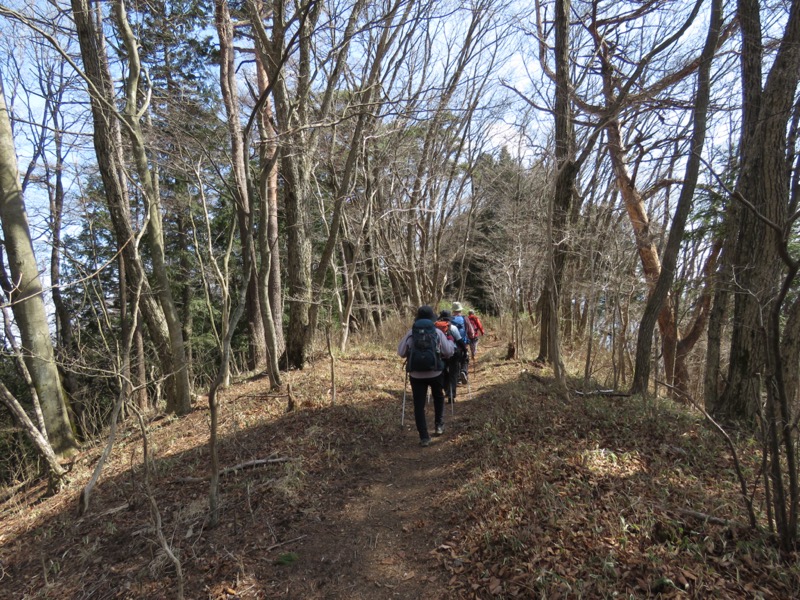 大岳山、馬頭刈尾根