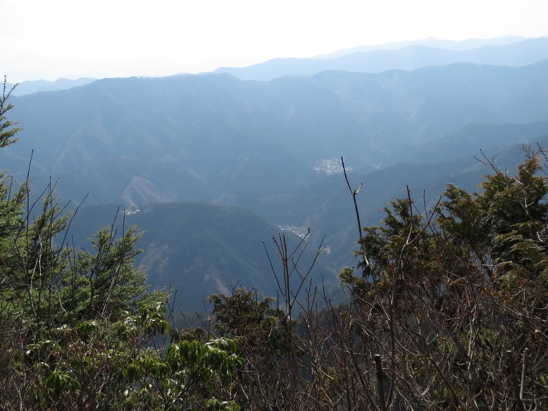 大岳山、馬頭刈尾根