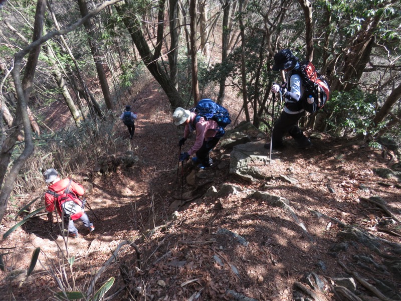 大岳山、馬頭刈尾根