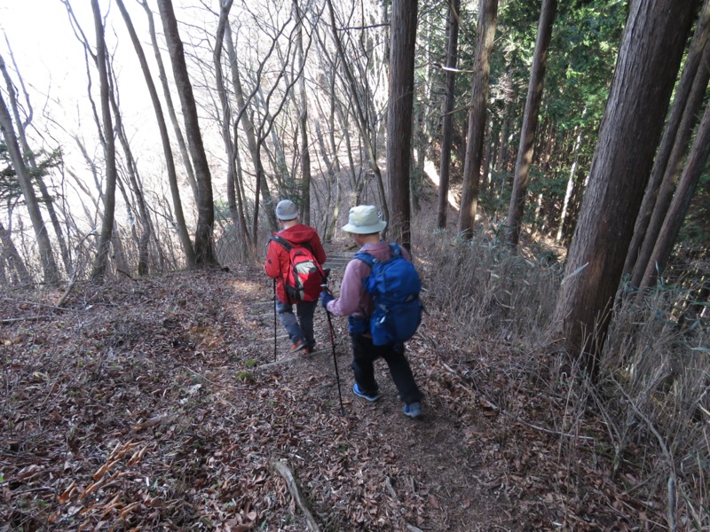 大岳山、馬頭刈尾根