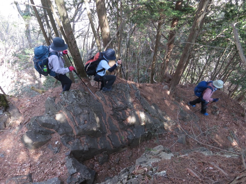 大岳山、馬頭刈尾根