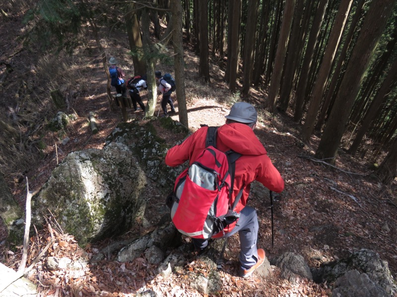 大岳山、馬頭刈尾根