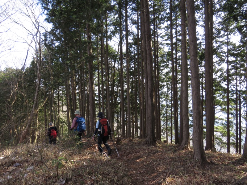 大岳山、馬頭刈尾根