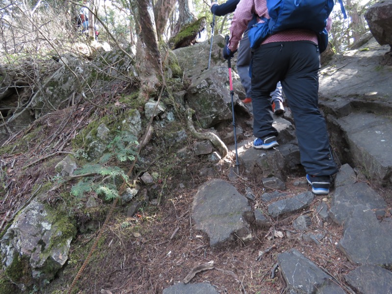 大岳山、馬頭刈尾根