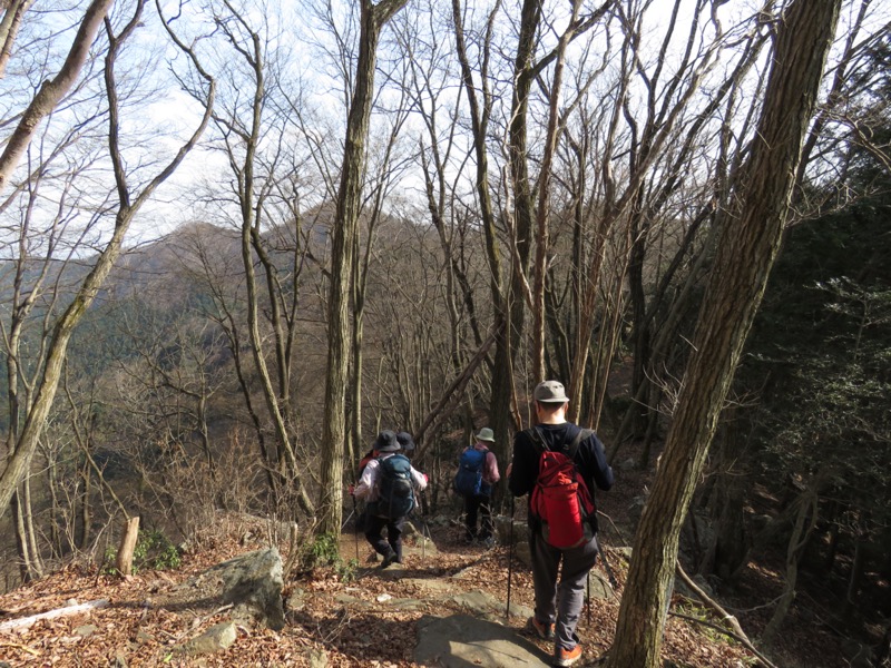 大岳山、馬頭刈尾根