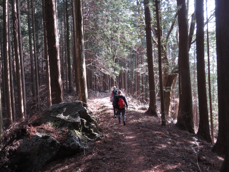 大岳山、馬頭刈尾根