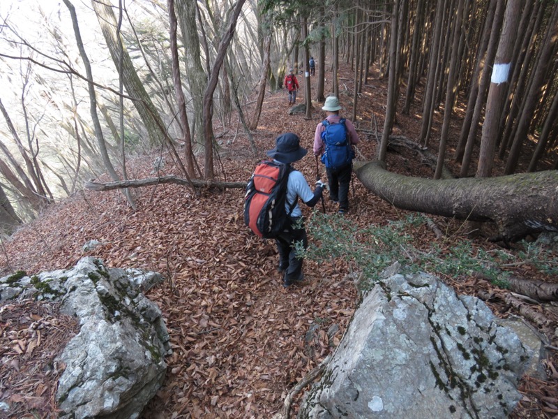 大岳山、馬頭刈尾根