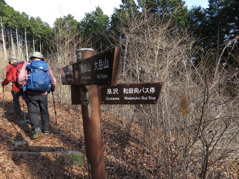 大岳山、馬頭刈尾根