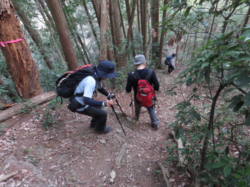 大岳山、馬頭刈尾根