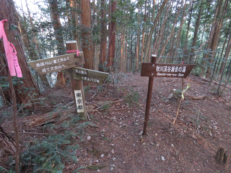 大岳山、馬頭刈尾根