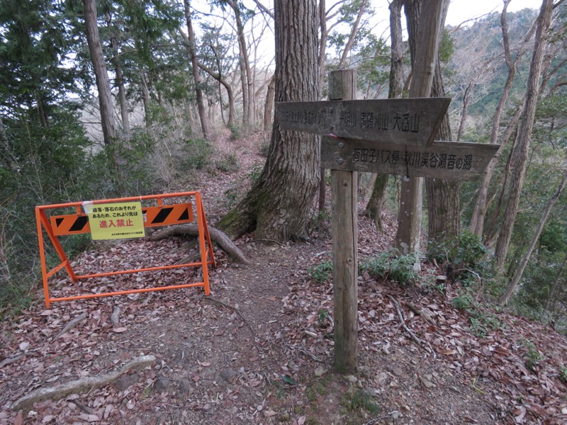 大岳山、馬頭刈尾根