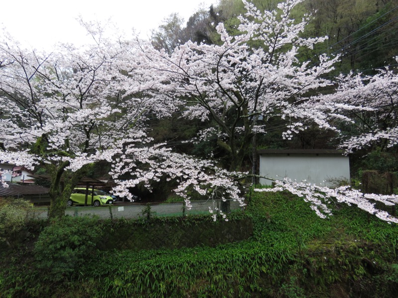 大山〜弘法山