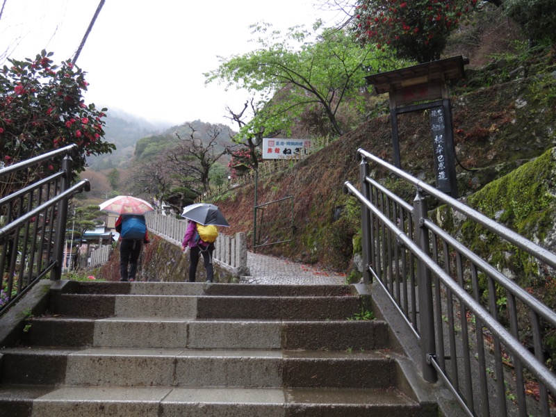 大山〜弘法山