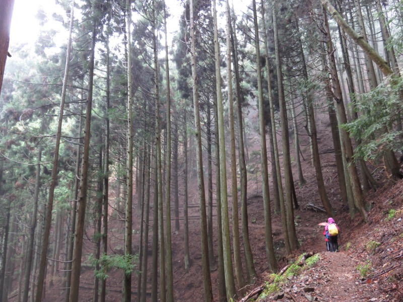 大山〜弘法山