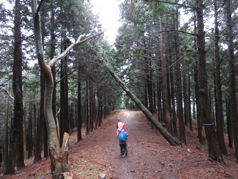 大山〜弘法山