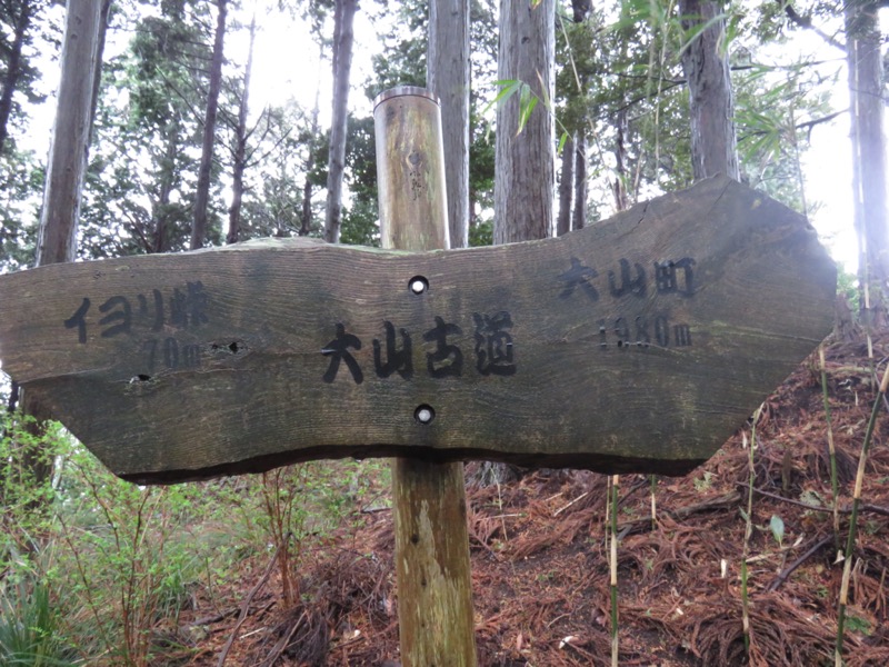 大山〜弘法山