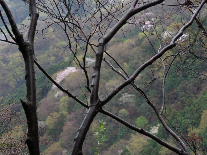 大山〜弘法山