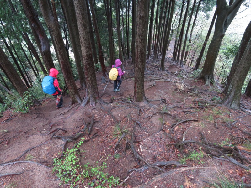 大山〜弘法山