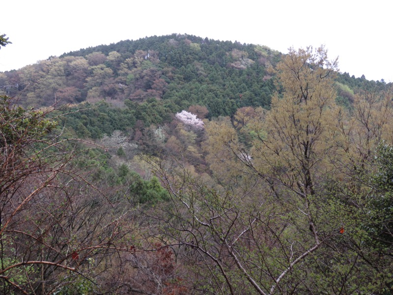 大山〜弘法山