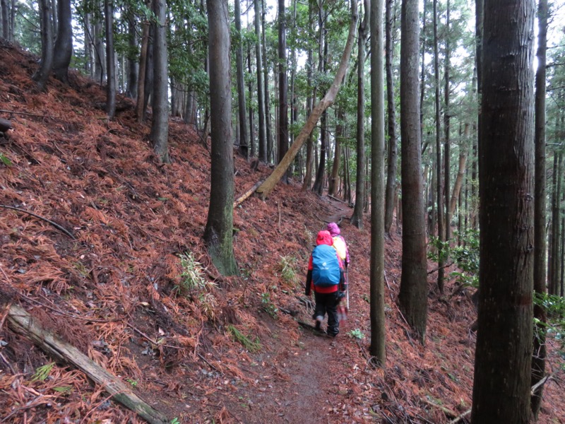 大山〜弘法山