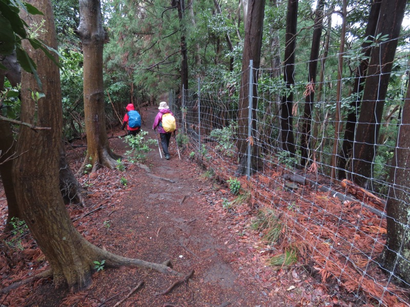 大山〜弘法山