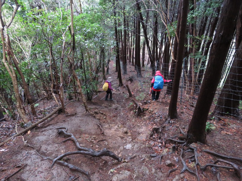 大山〜弘法山