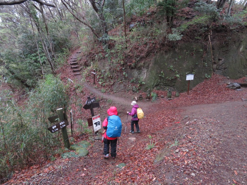 大山〜弘法山