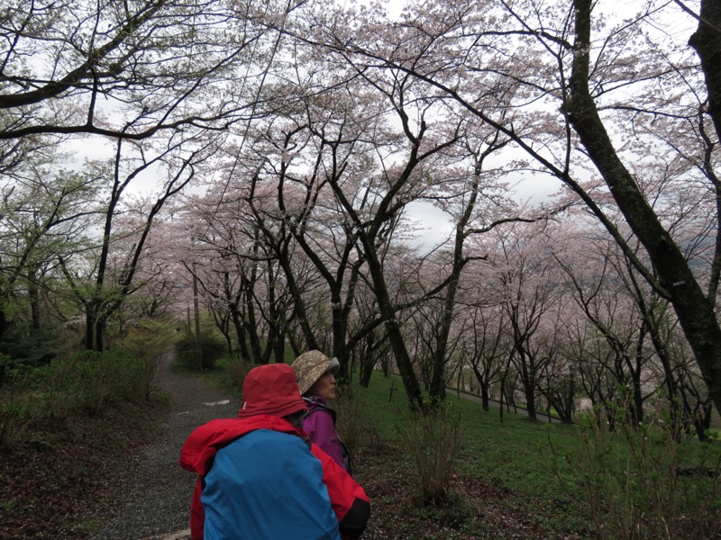 大山〜弘法山