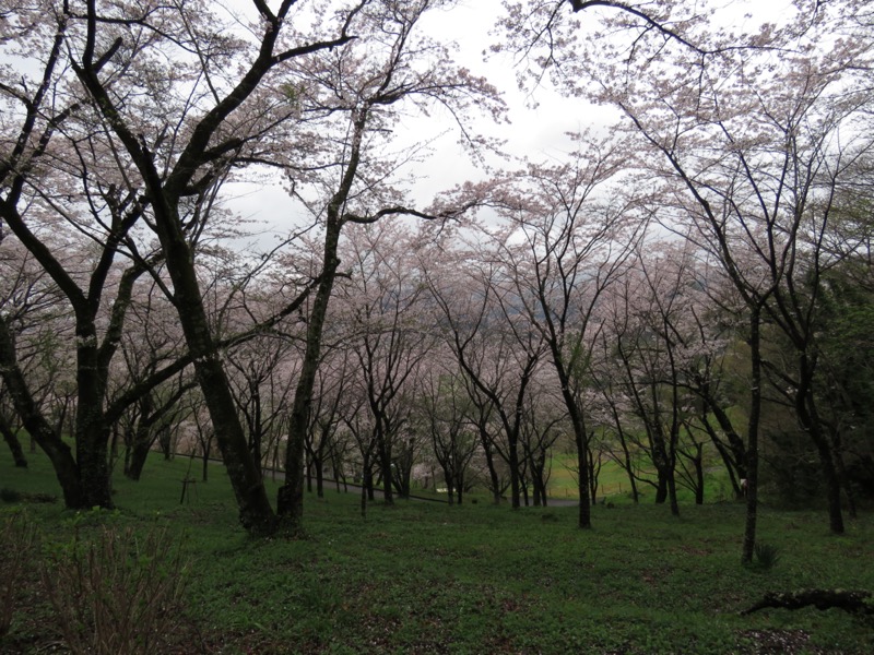 大山〜弘法山