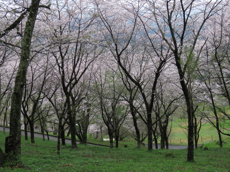 大山〜弘法山