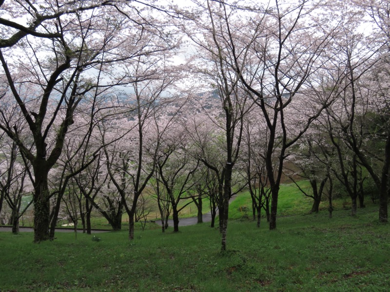 大山〜弘法山