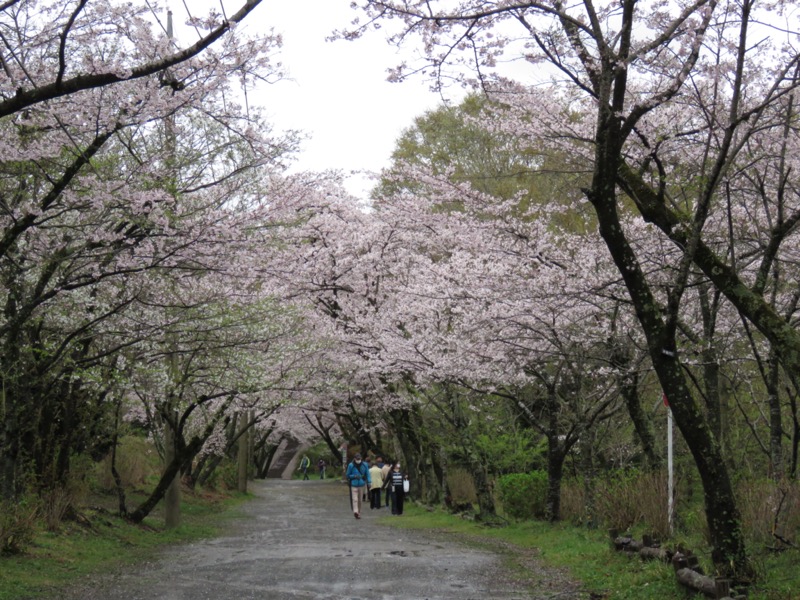 大山〜弘法山